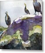 Cormorants On Rock Metal Print