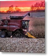 Corn Harvest Time Metal Print