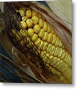 Corn Metal Print