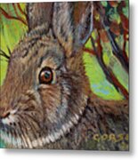 Cotton Tail Rabbit Metal Print