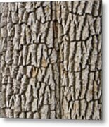Cottonwood Tree Texture Print Metal Print
