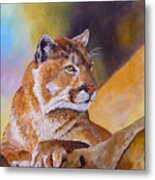 Cougar Wildlife Metal Print