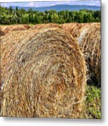 Country Bales Metal Print