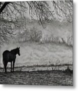 Country Horse Metal Print