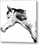 Country Horse Whiteout Metal Print