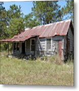 Country Living Gone To The Dawgs Metal Print