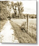 Country Path Along A Cow Pasture Metal Print