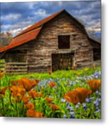 Country Poppies Metal Print