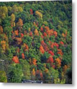 Country Road In Autumn Metal Print