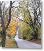 Country Road Through Autumn Metal Print