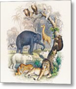 Cover Of A History Of The Earth And Animated Nature Metal Print