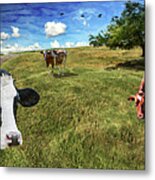 Cows In Field, Ver 3 Metal Print