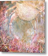 Crabby Metal Print