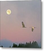 Cranes And A Full Moon At Dawn Metal Print