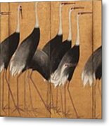 Cranes Metal Print