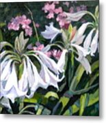 Crinum Latifolium Metal Print