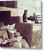 Croatian Cat Metal Print