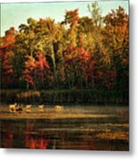 Crossing The Lake Metal Print