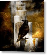 Crow In Shadows Metal Print