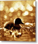 Cute Overload Series - Duckling Reflections Metal Print
