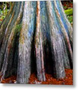 Cypress Foot Metal Print