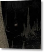 Cypress Raccoon Metal Print