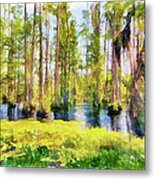 Cypress Reflections Ap Metal Print