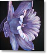 Daffodil Metal Print