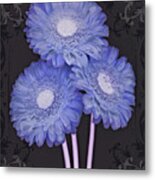 Daisy Days Ii Metal Print