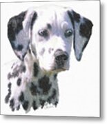 Dalmatian Puppy Metal Print