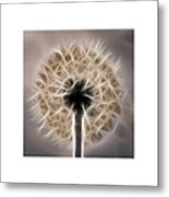 Dandelion Triptych Metal Print