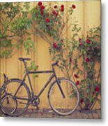 Danish Parking Metal Print