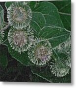 Dark Thistles Metal Print