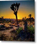 Dawn Of The Morning Metal Print