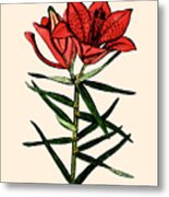 Day Lilly Metal Print