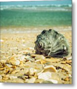 Daydreams On The Shore Nature / Coastal Photograph Metal Print