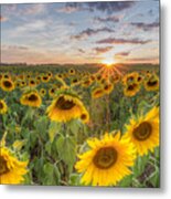 Day's End Metal Print