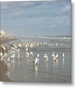 Daytona Morning Metal Print