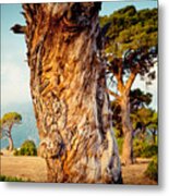 Dead Tree And Forest Metal Print