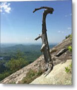 Decaying Tree At The Top Of Table Rock Trail South Carolina Metal Print