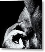 Deep In Thought Metal Print