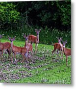 Deer Hunter's Dream Metal Print