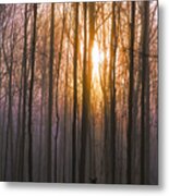 Deer In The Forest At Sunrise Metal Print