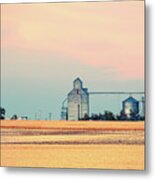 Delightful Dutton Metal Print