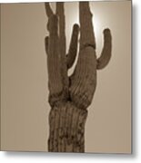 Desert Cactus Metal Print