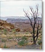 Desert Colors Metal Print