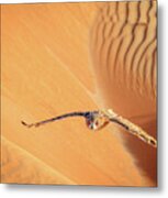 Desert Eagle Owl Metal Print