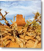 Desert Life Iii Metal Print