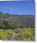 Desert Oasis Metal Print