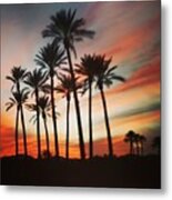 Desert Palms Sunset Metal Print